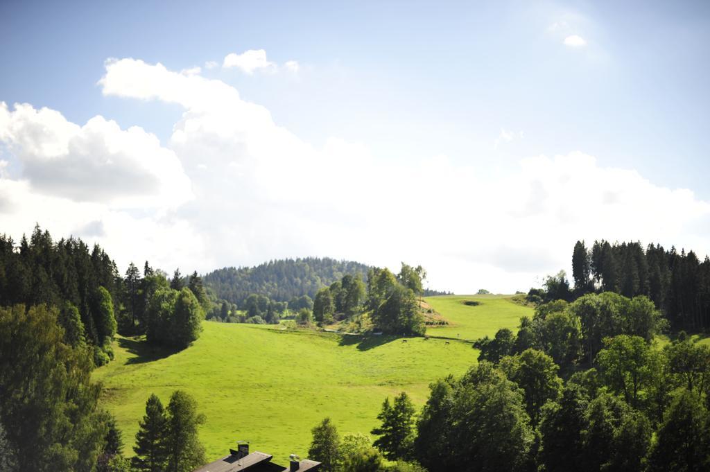 ホテル Ferien Residenz Bergfried ヒンターツァルテン エクステリア 写真
